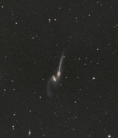 The Mice (NGC 4676)