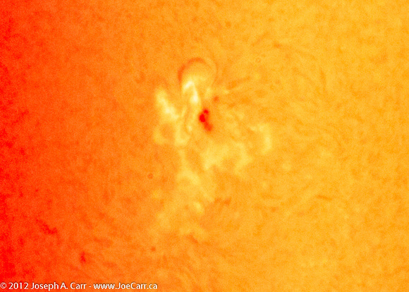 Sunspot 1476 in Ha wavelength