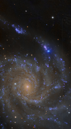 Messier 101/SN2023ixf Drizzle UGR