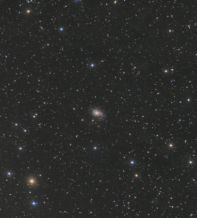 NGC 772/Arp78 - The Nautilus Galaxy