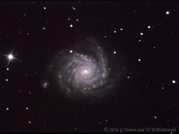 Arp 41 - NGC1232
