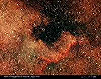 North America Nebula and the Cygnus Wall
