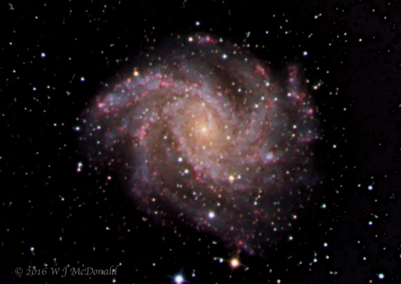 Fireworks Galaxy (NGC 6946)