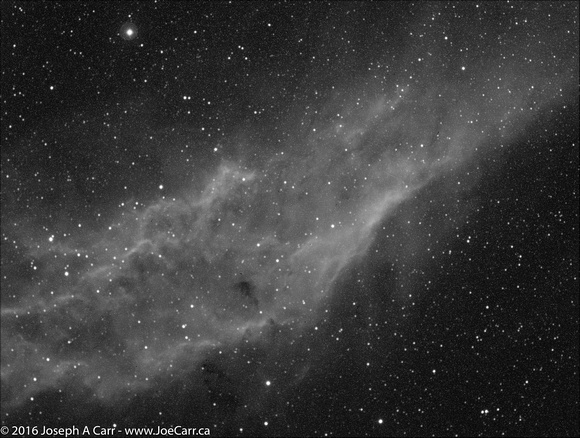 California Nebula in Ha