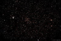 NGC 7129 and 7142 in Cepheus