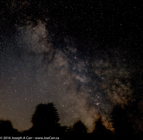 Sagittarius area of the Milky Way with trees on horizon