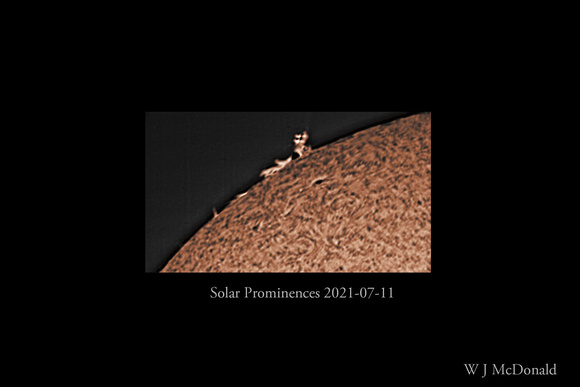 Solar Prominences