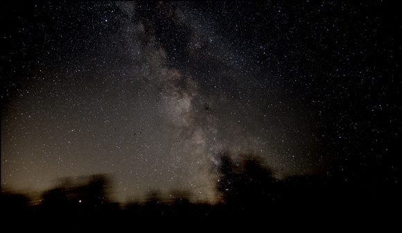 The Milky Way, southern horizon and Mars rising through the tree