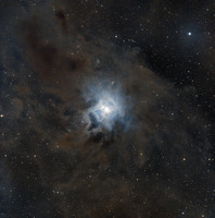 Iris Nebula - NGC 7023