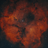 IC 1396 - Elephant Trunk Nebula