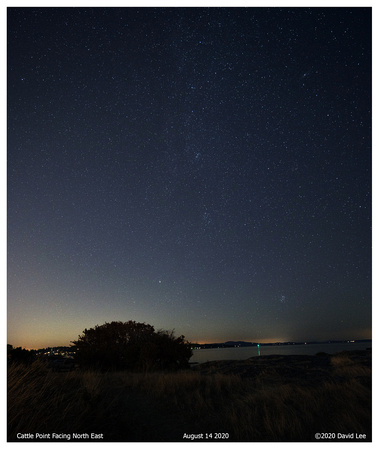 Cattle Point North East during Perseids