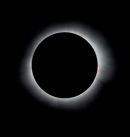 Totally eclipsed Sun with plasma streamers and prominences