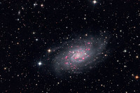 NGC2403 Galaxy in Camelopardis (LHaRGB)