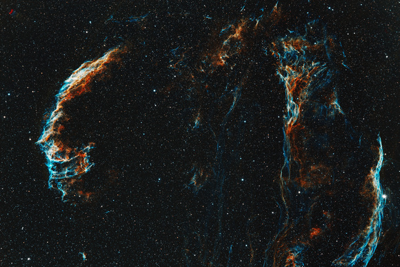 Cygnus Loop with Narrowband Filters, False Colour