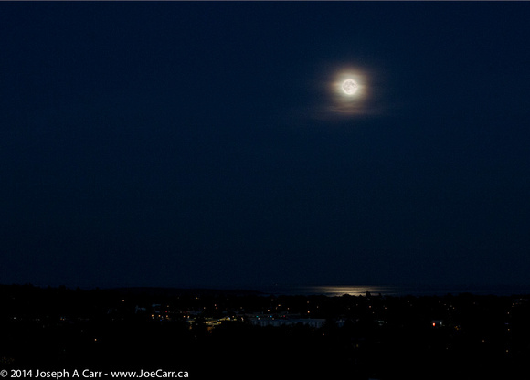 Full Moon (aka Super Moon) over Oak Bay