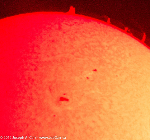 Sunspot complex AR1520 and prominences in Ha