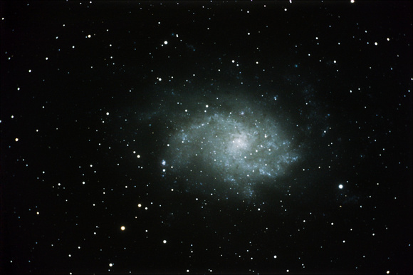 Triangulum Galaxy (m33)