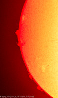 Prominences and Sunspot AR1534 on the Sun in Ha