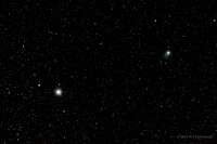 Comet 2009 P1 Garradd & M15 Star Cluster