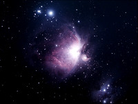 M42 The Orion Nebula