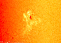 Sunspot 1476 in Ha