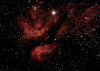 IC1318 Butterfly Nebula & Sadr