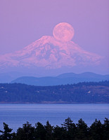 Mount Baker and Moon