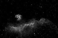 Seagull Nebula, IC2177 in Ha