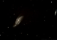 Supernova 2009dd in NGC4088