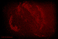 Veil Nebula in Ha - topographic rendering