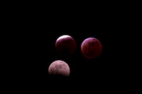 Total Lunar Eclipse Mar 13, 2025