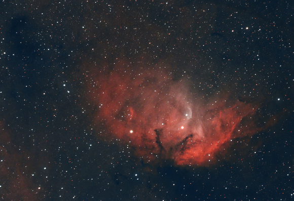 The Tulip Nebula, SH2-101