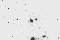 Supernova SN 2009 nq (negatif)