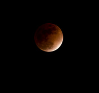 Lunar Eclipse Feb. 20/08