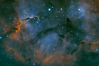 The Elephant's Trunk Nebula