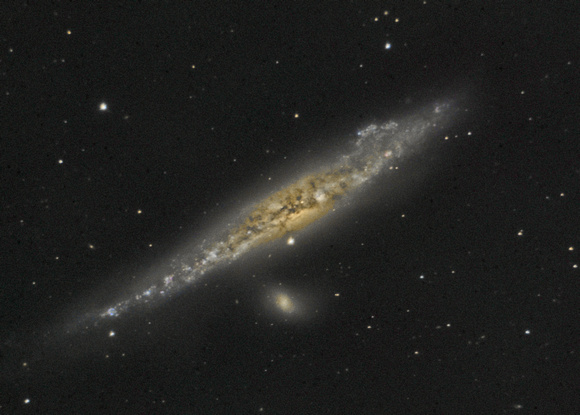 The Whale (NGC 4631)