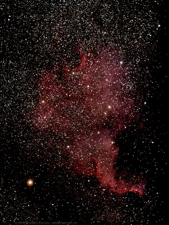 NGC 7000 North Ameria Nebula