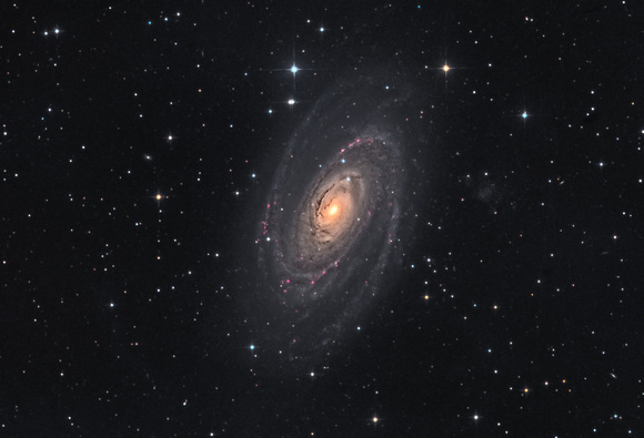 M81 - Bode's Nebula (Galaxy) in LRGB + NB