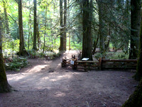 Lots of nature trails in the Park - went for a hike here with a
