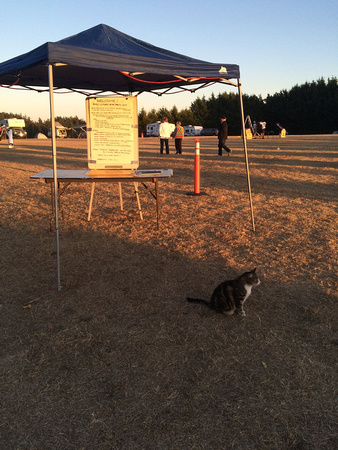 Metchosin Firehall cat roams the star party