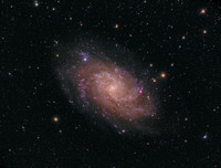 The Triangulum (Messier 33)