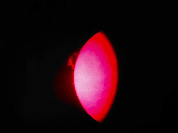 Solar Prominence Aug3/22
