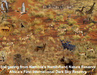 Stargazing from Namibia's NamibRand Nature Reserve, Africa's First International Dark Sky Reserve