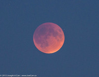 Eclipsed Moon in Totality