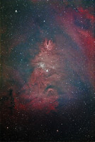 NGC2264 Christmas Tree Cluster