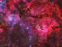 SH-2-131 Elephant Trunk Nebula