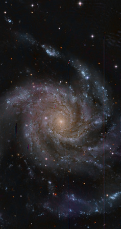 Messier 101 - the Pinwheel, with SN2023 ixf