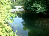 Swimming hole on the Koksilah River