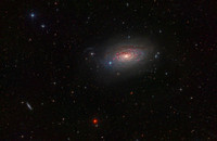 M63 - Sunflower Galaxy in LHaRGB (Sow's Ear version)