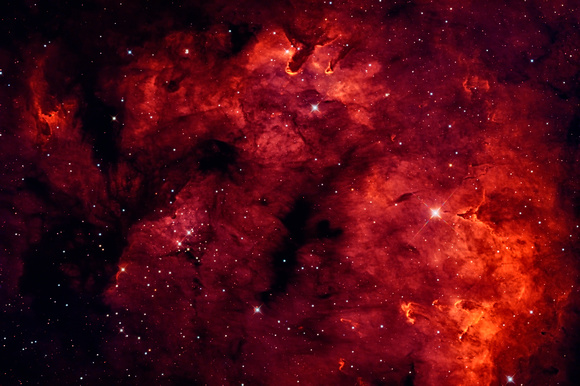Heart of the Question - Ced214 Starforming Region in Forax-SHO (RGB Stars)